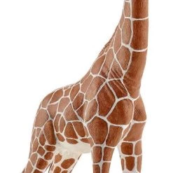 Ζωάκια Schleich Καμηλοπάρδαλη Θηλυκή (SCH14750)