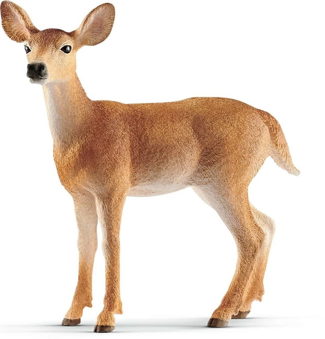 Ζωάκια Schleich Ελαφίνα Με Λευκή Ουρά (SCH14819)